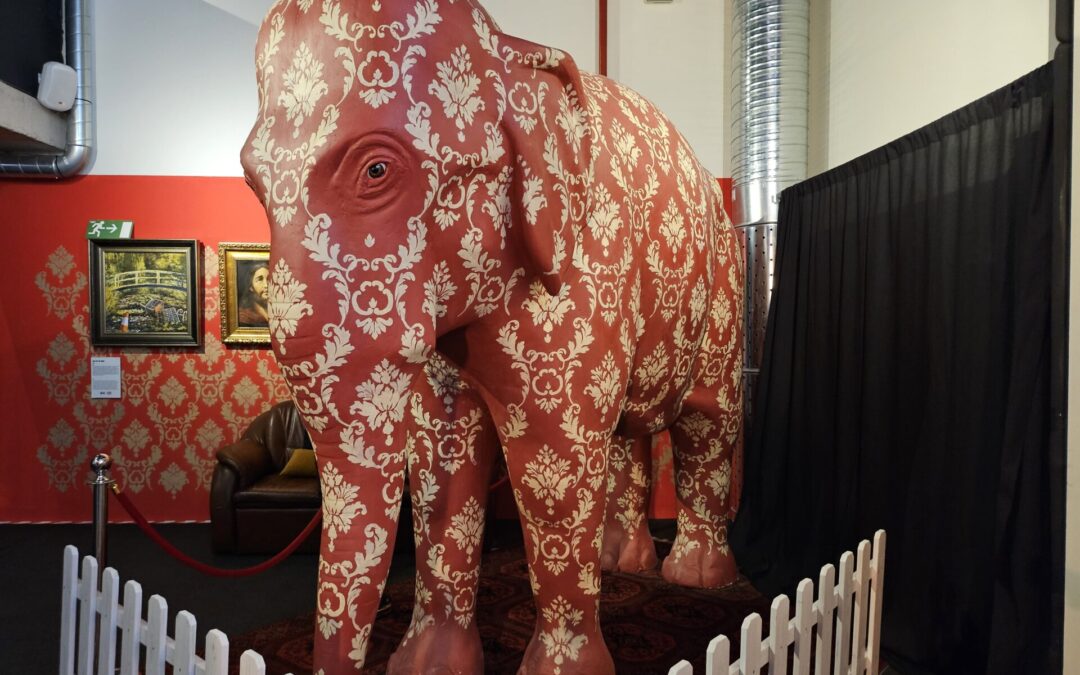 C’è un elefante nella stanza!