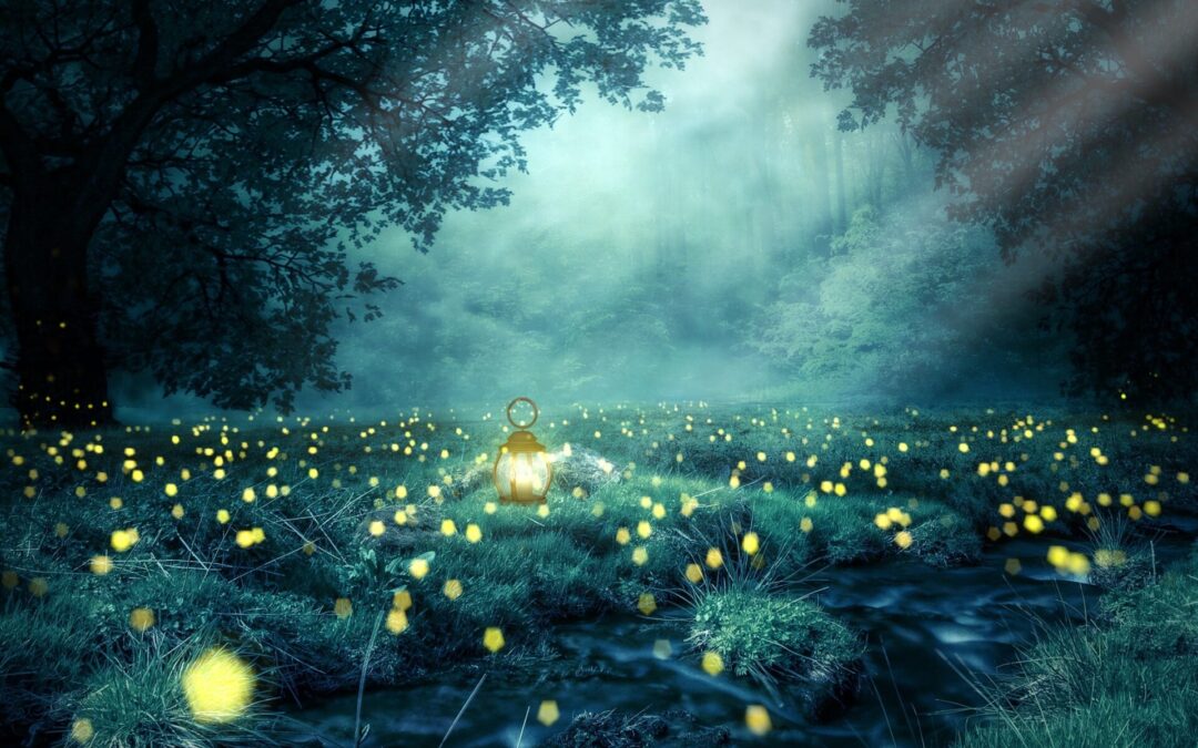 La lanterna nel bosco